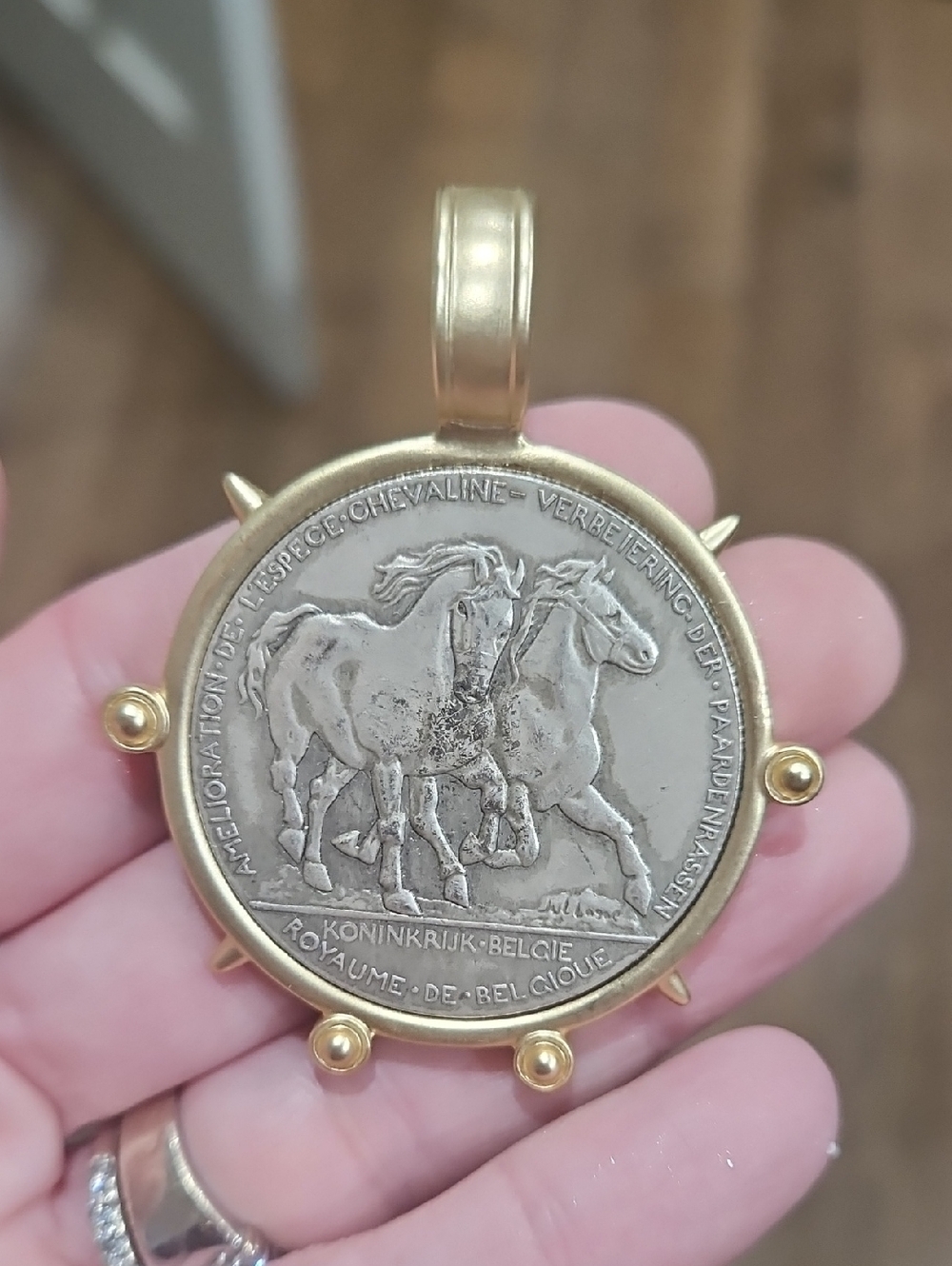 Horse Medal Coin Pendant - Gold & Silver Tones